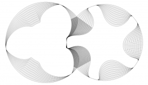 Case study: Rotor grid with interlobe refinement 1